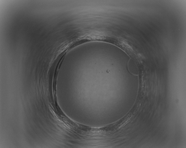 X0000058130202200509261309