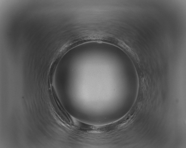 X0000058130203200509261309