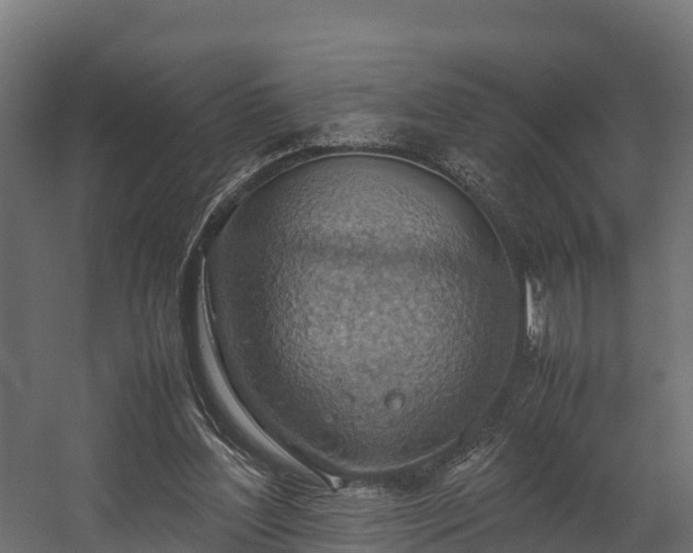 X0000058130204200509261309