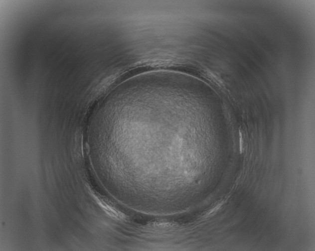 X0000058130205200509261309