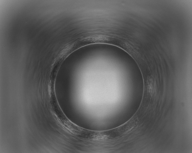 X0000058130206200509261309