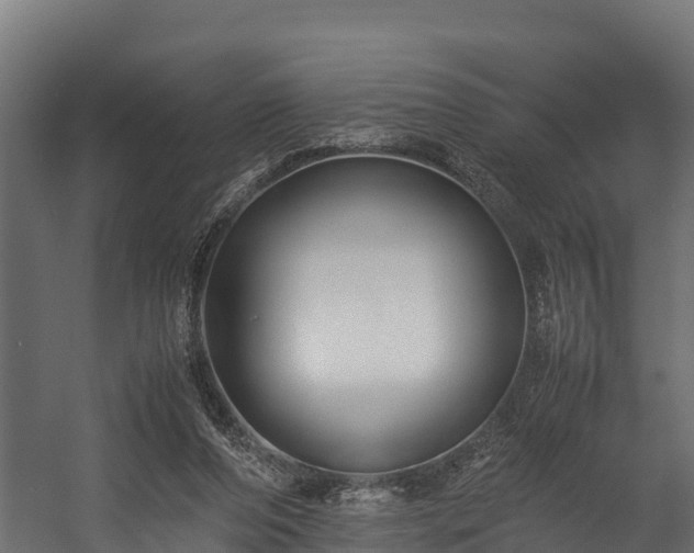 X0000058130208200509261309