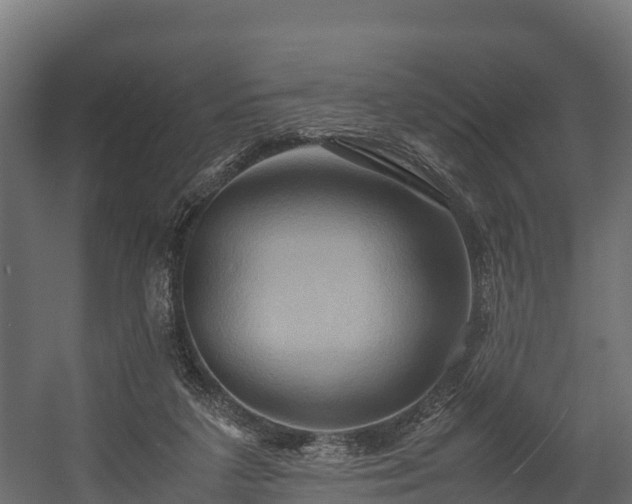 X0000058130211200509261309