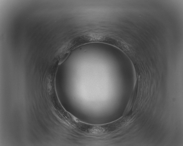 X0000058130215200509261309