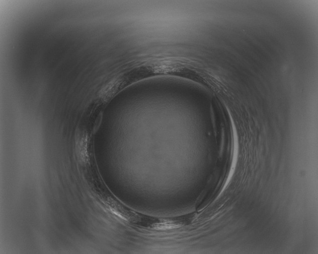 X0000058130219200509261309