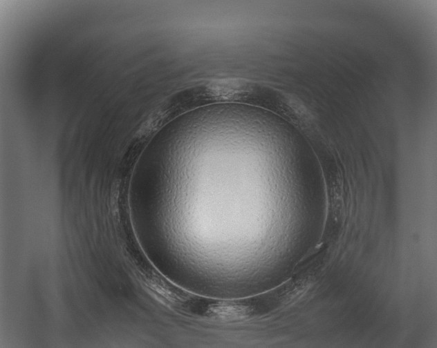 X0000058130221200509261309