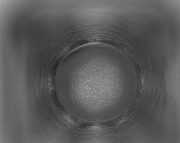 X0000058130224200509261309