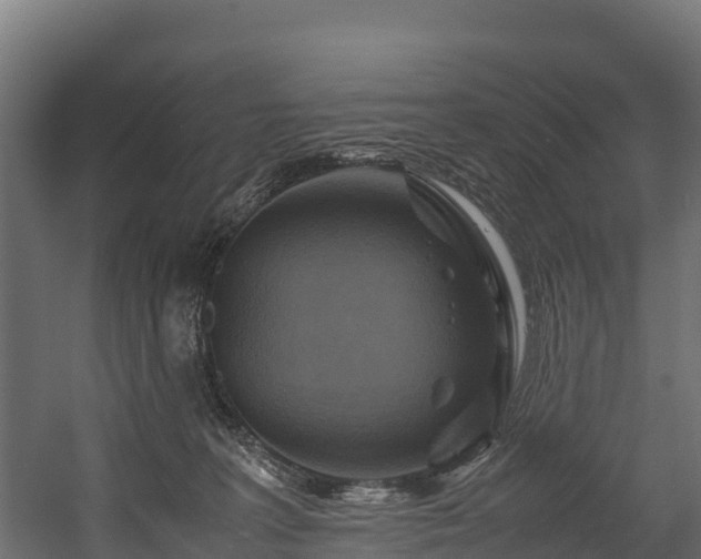 X0000058130227200509261309