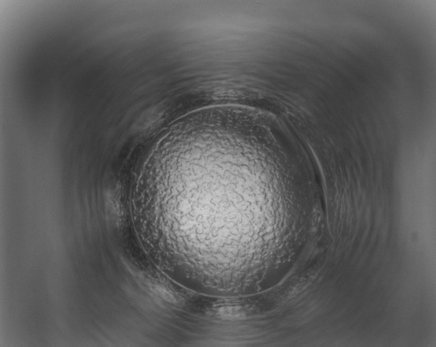 X0000058130228200509261309