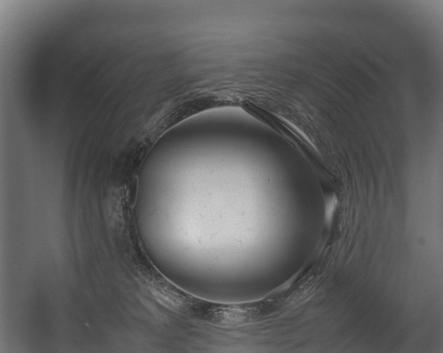 X0000058130229200509261309