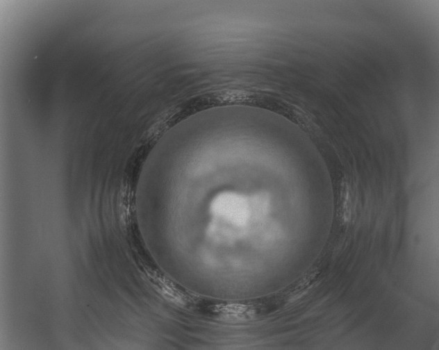 X0000058130230200509261309