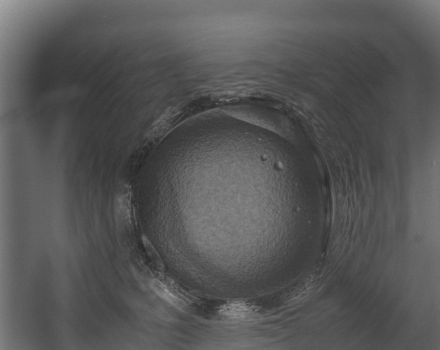 X0000058130231200509261309