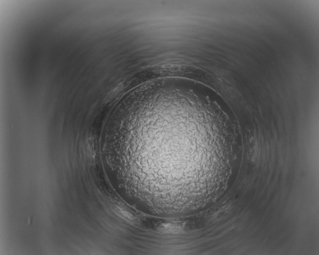 X0000058130232200509261309