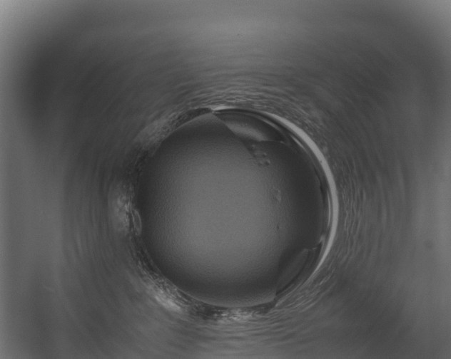 X0000058130235200509261309