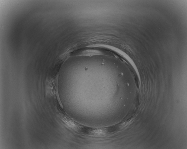 X0000058130237200509261309