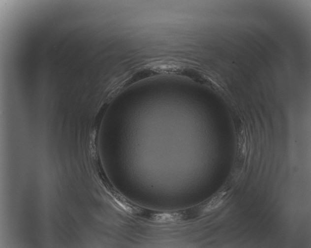 X0000058130239200509261308