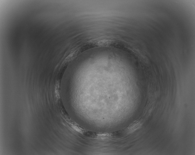 X0000058130240200509261308