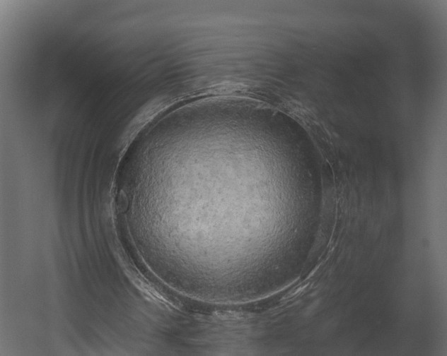 X0000058130242200509261308