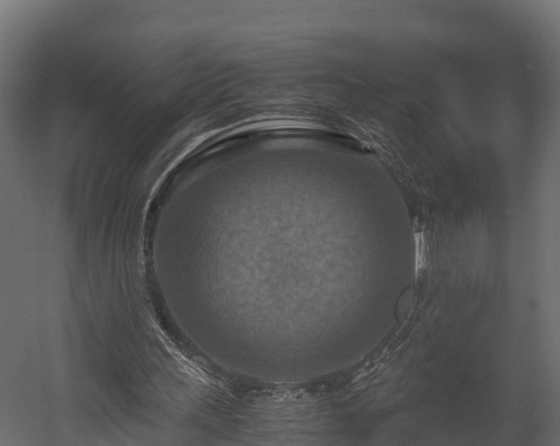 X0000058130243200509261308