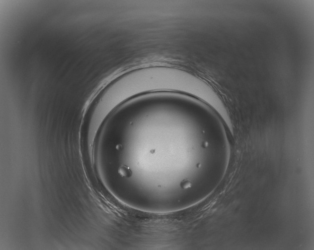 X0000058130244200509261308