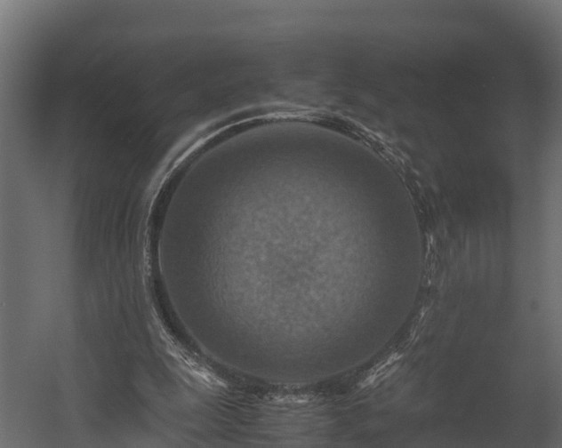 X0000058130247200509261308