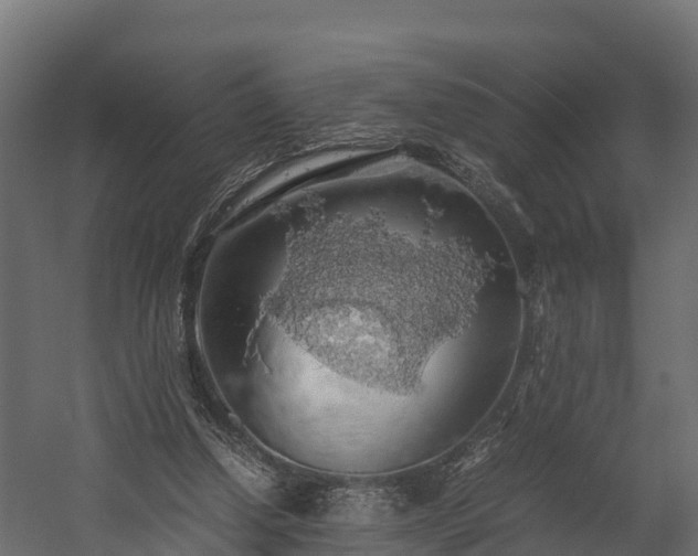 X0000058130250200509261308