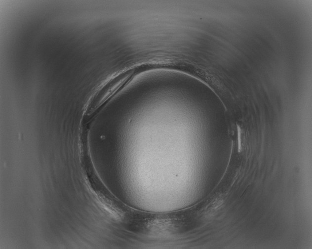 X0000058130252200509261308