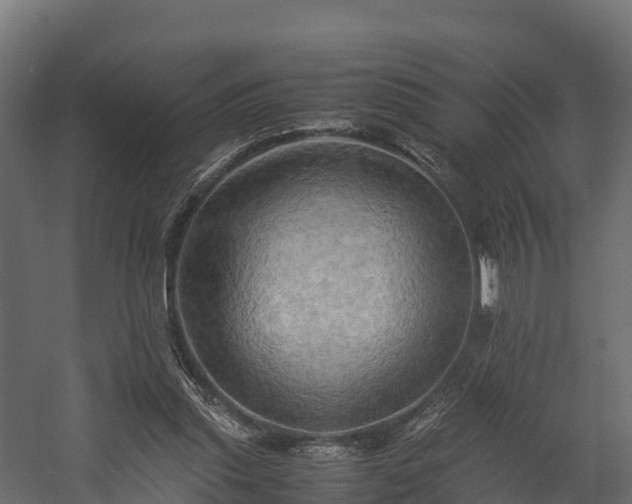 X0000058130253200509261308