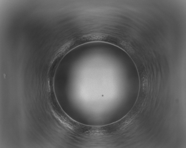 X0000058130254200509261308