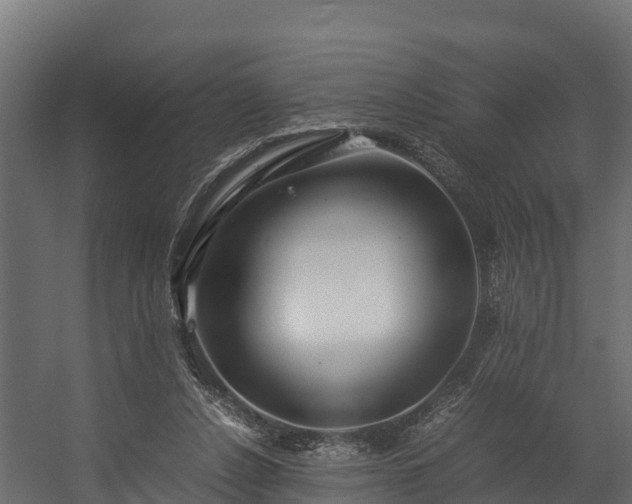 X0000058130256200509261308