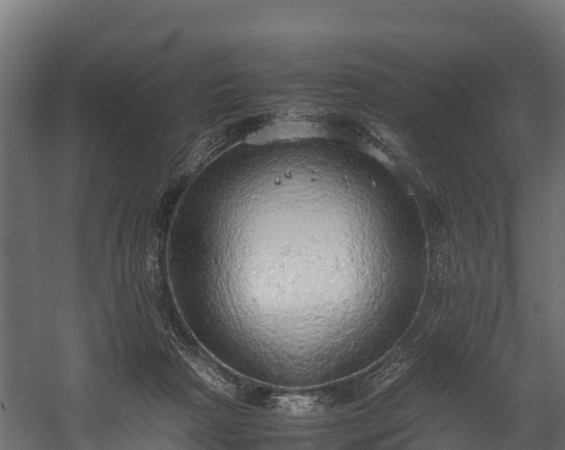 X0000058130265200509261308