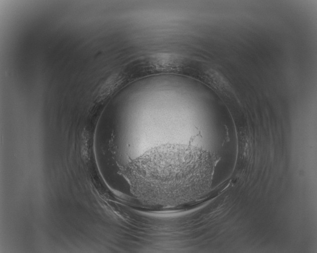 X0000058130266200509261308