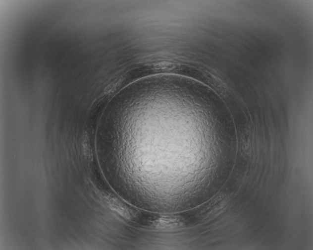 X0000058130270200509261308