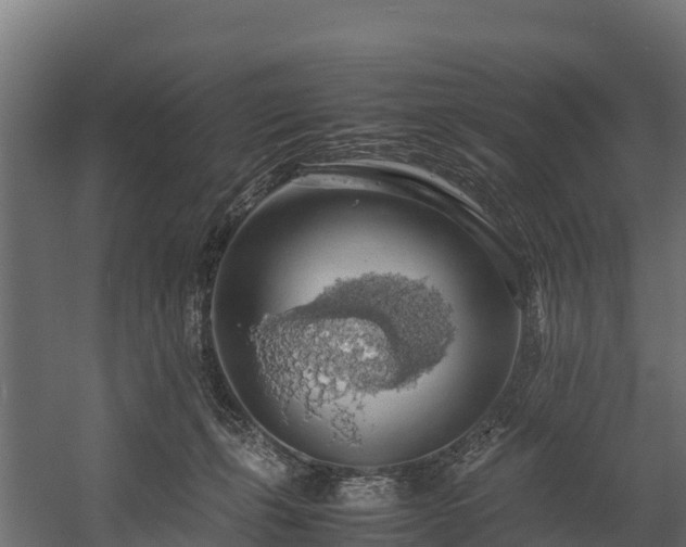 X0000058130271200509261308