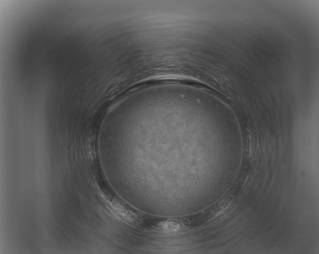 X0000058130272200509261308