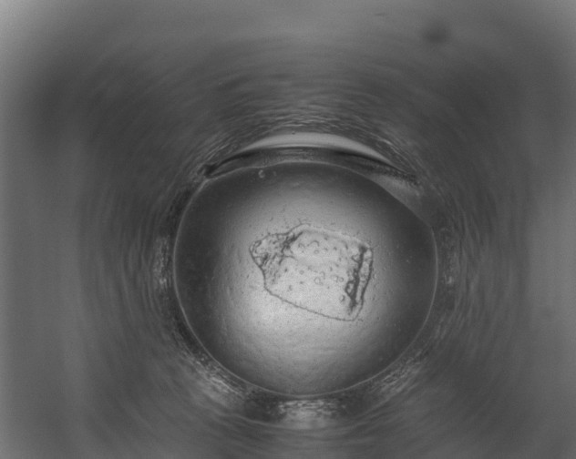 X0000058130273200509261308