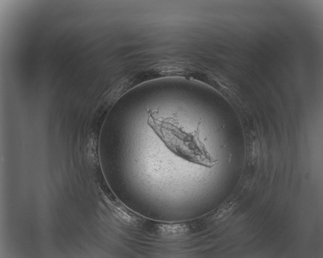 X0000058130281200509261308