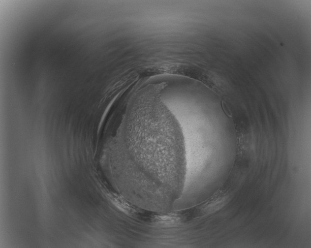 X0000058130286200509261308