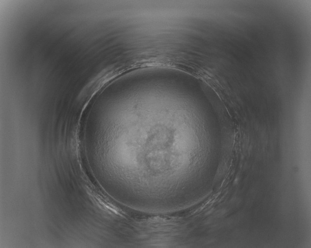 X0000058130290200509261308