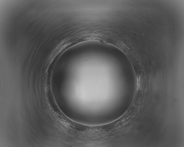 X0000058130291200509261308