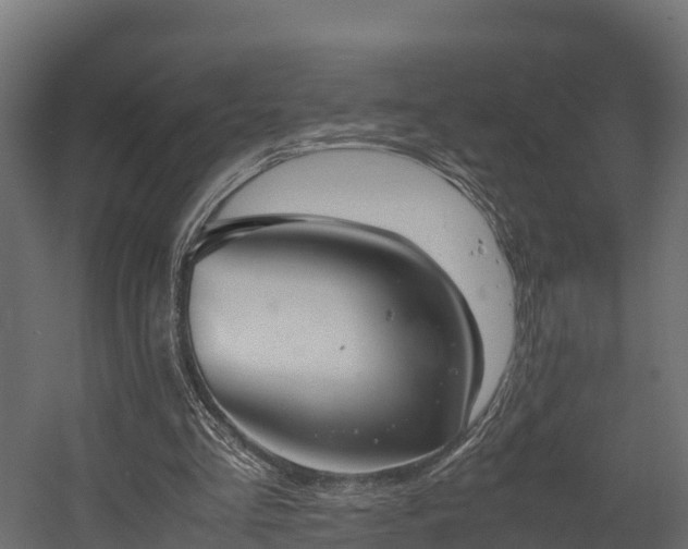 X0000058130293200509261308