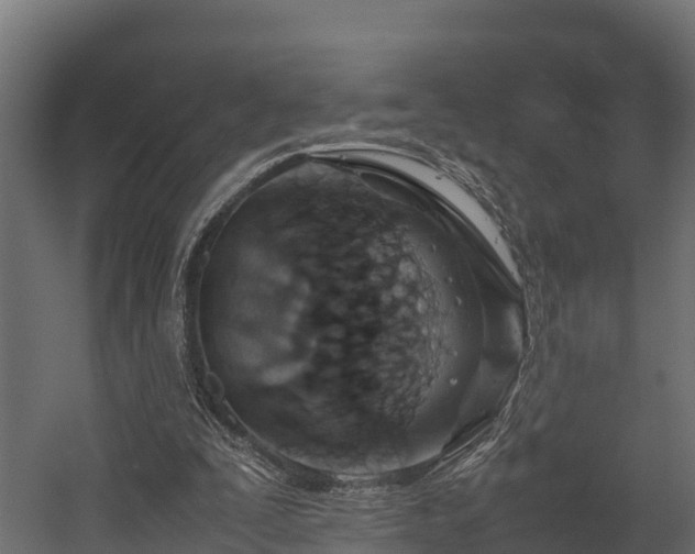 X0000058130295200509261308