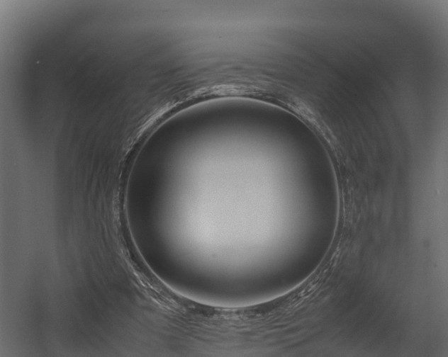 X0000058130297200509261307