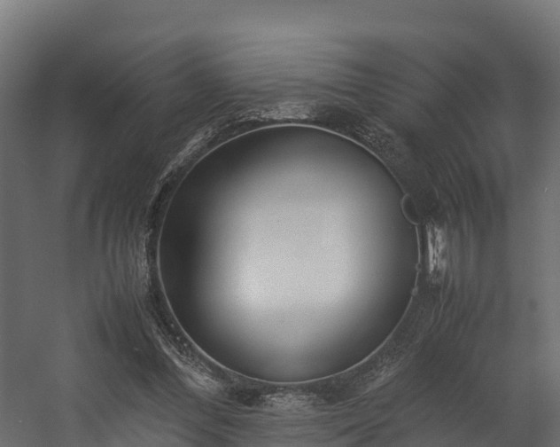 X0000058130300200509261307