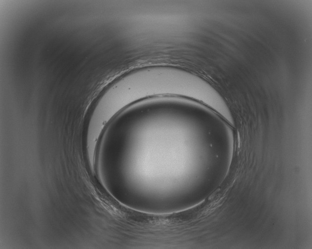 X0000058130301200509261307
