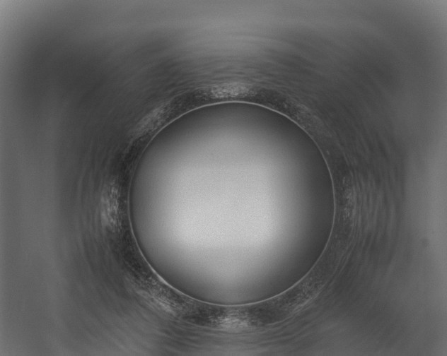 X0000058130308200509261307