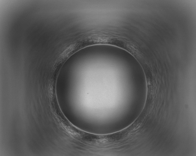 X0000058130309200509261307