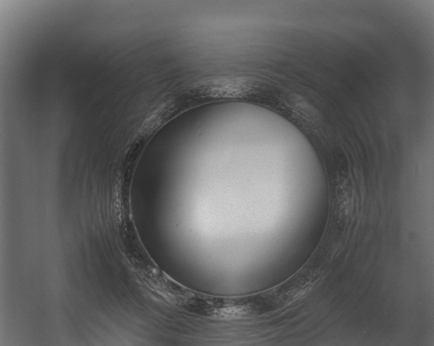 X0000058130312200509261307