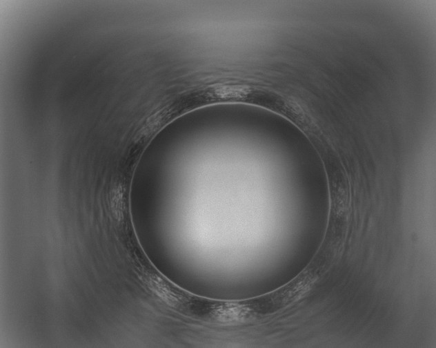 X0000058130321200509261307