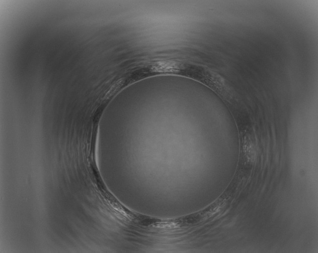 X0000058130322200509261307